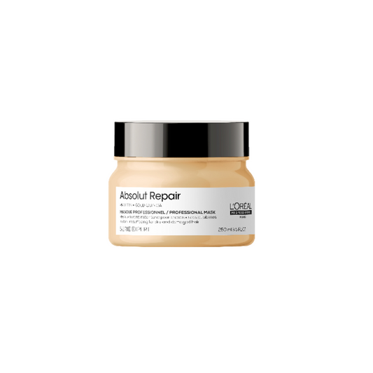 LOREAL - ABSOLUT REPAIR  MASCARILLA DE REPARACIÓN INSTANTÁNEA  250 ML